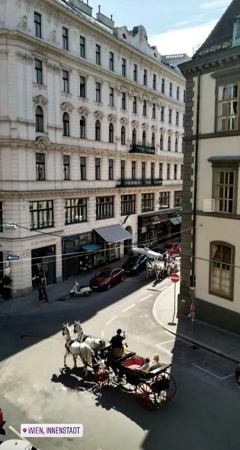 Downtown Vienna, 5*City Apartment Hofburg Palace Homestay